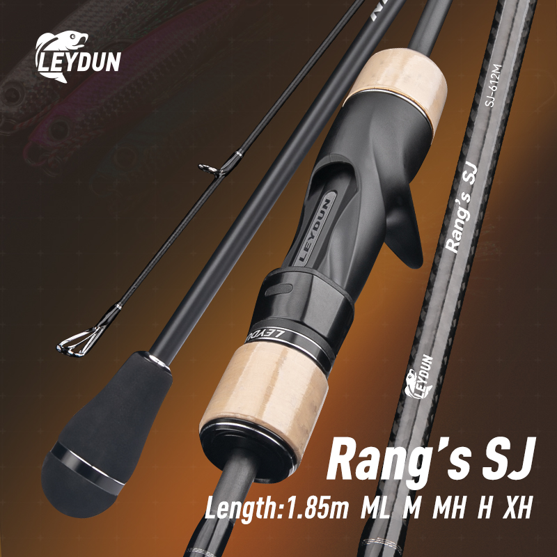 LEYDUN Rang’s SJ Slow Jigging  - Fishing Rod Surf recensie en prijs