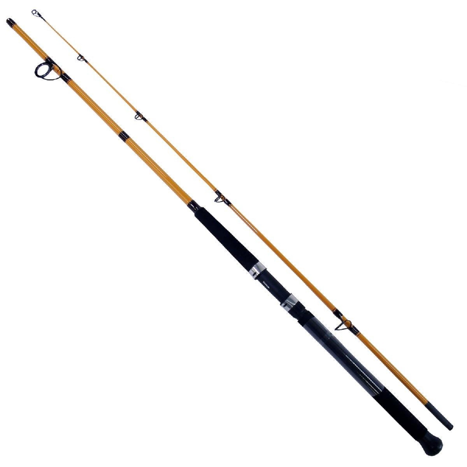 FT Series Fiberglass Surf Spin - Fishing Rod Spinning recensie en prijs