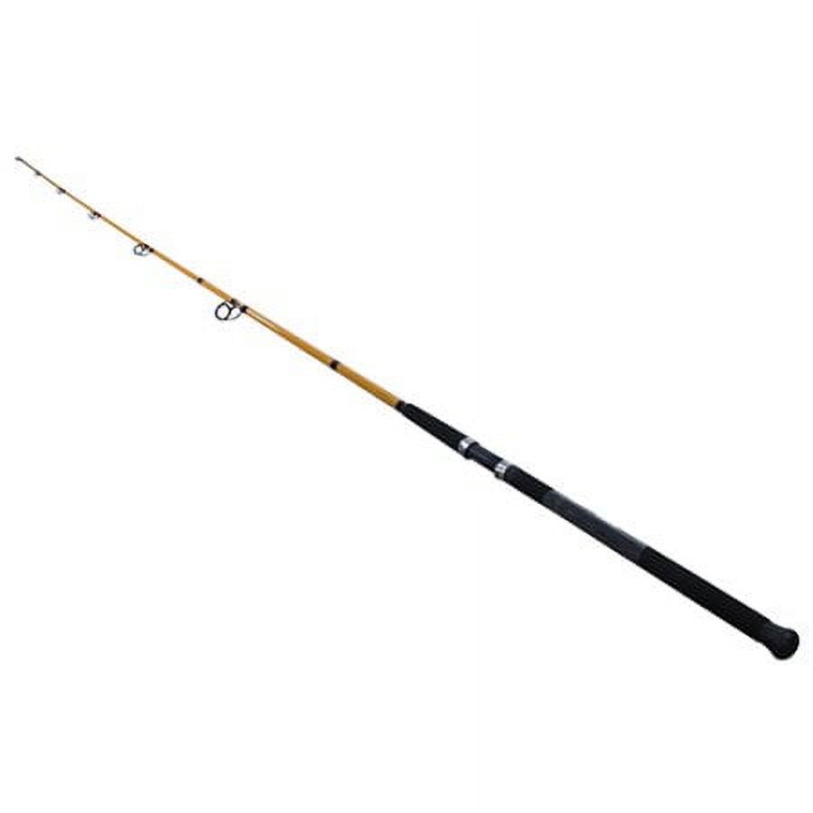 FT Series Fiberglass Surf Spin - Fishing Rod Spinning recensie en prijs